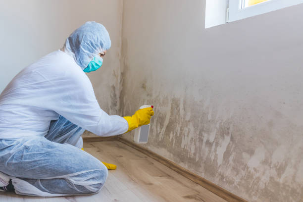 Mold Remediation specialist working in Cordova